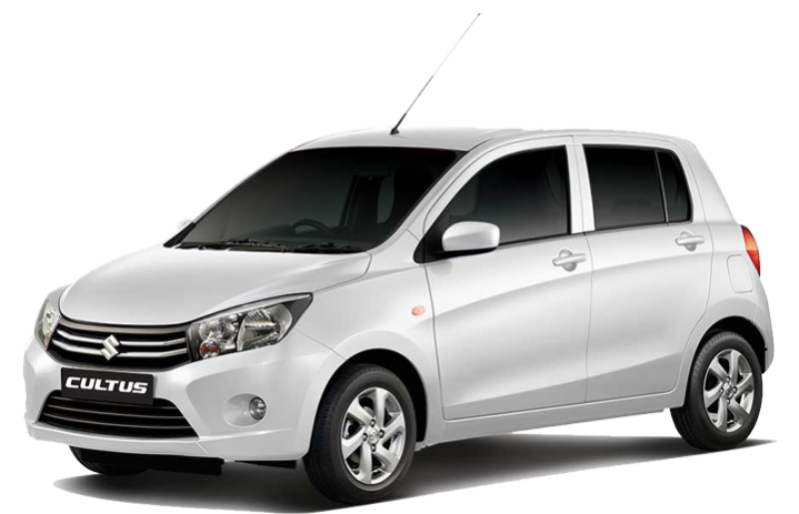 CELERIO-WHITE-719×463 (1)
