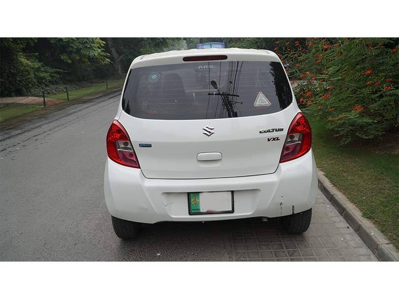 Rear